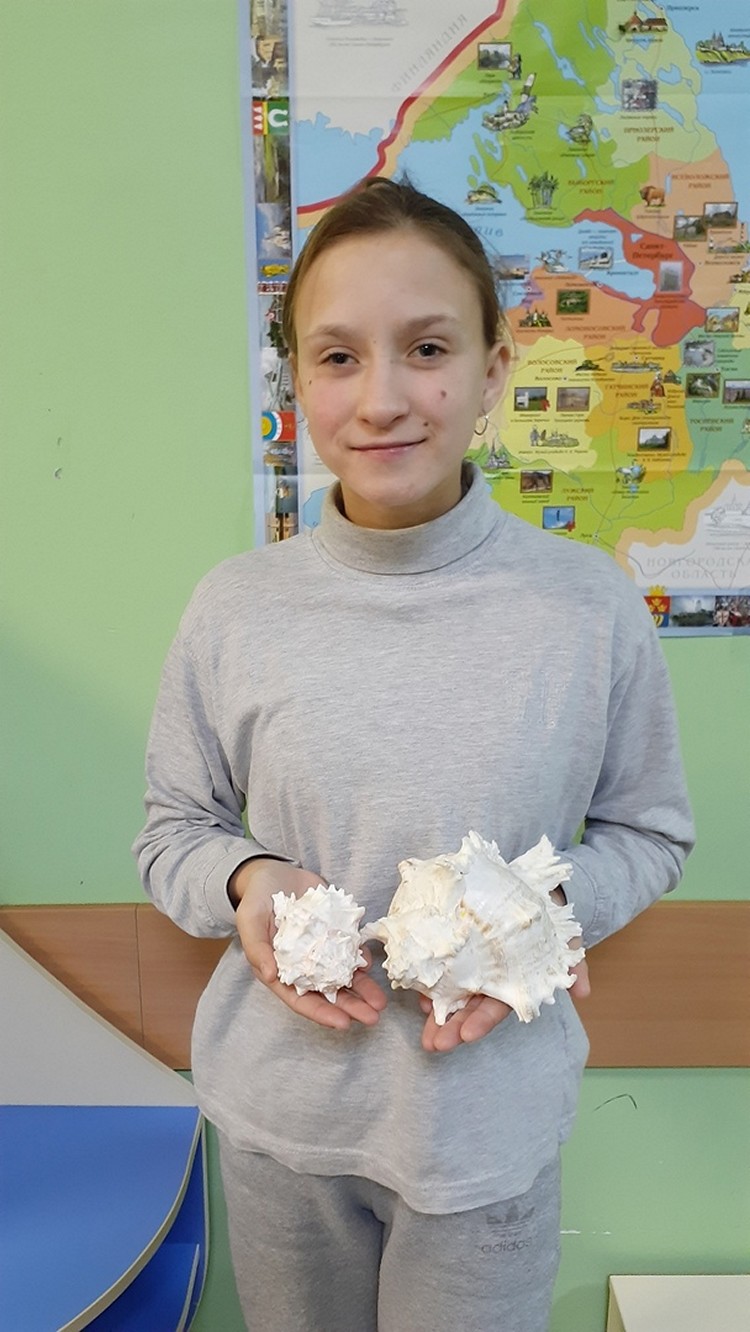 Путешествие в подводный мир