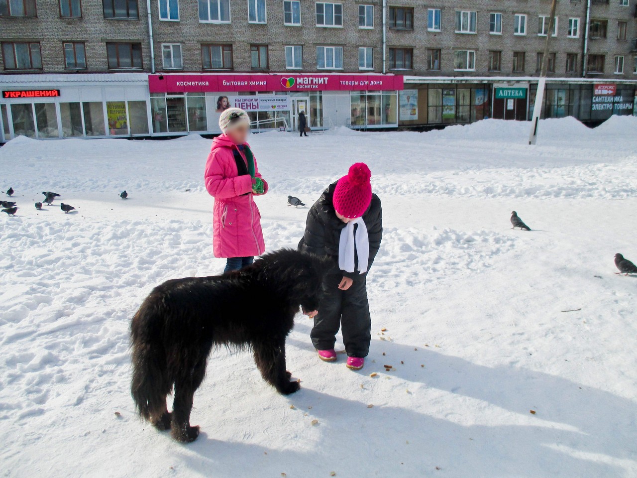Необычное путешествие.